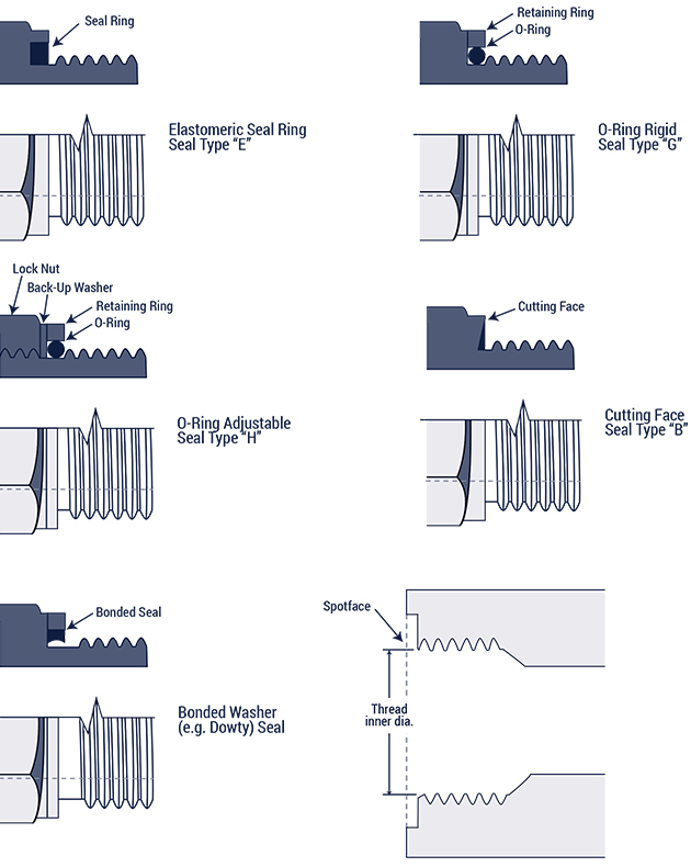 O Ring Face Seal Size Chart